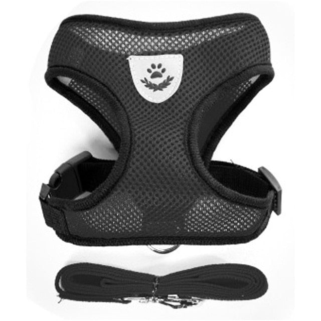 Nylon Mesh Harness And Leash Breathable Cats & Small Dog