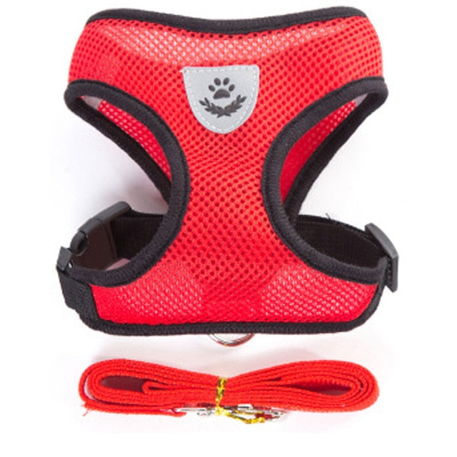 Nylon Mesh Harness And Leash Breathable Cats & Small Dog