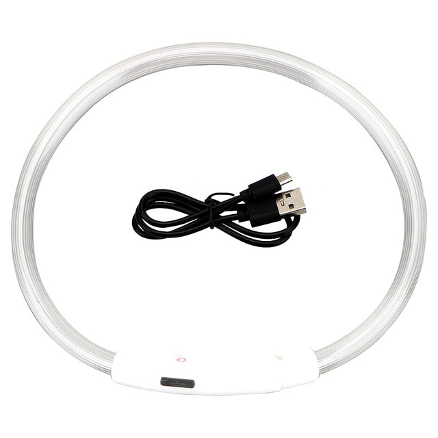 Led Usb Pet Collar Night Glowing Luminous Rechargeable LED Night Safety Flashing Glow