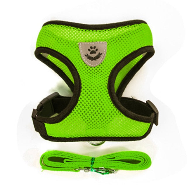 Nylon Mesh Harness And Leash Breathable Cats & Small Dog