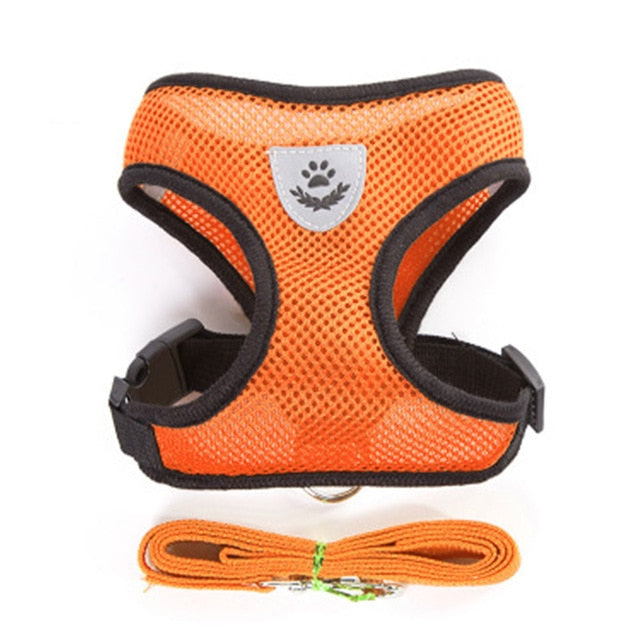 Nylon Mesh Harness And Leash Breathable Cats & Small Dog