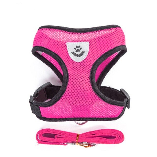 Nylon Mesh Harness And Leash Breathable Cats & Small Dog