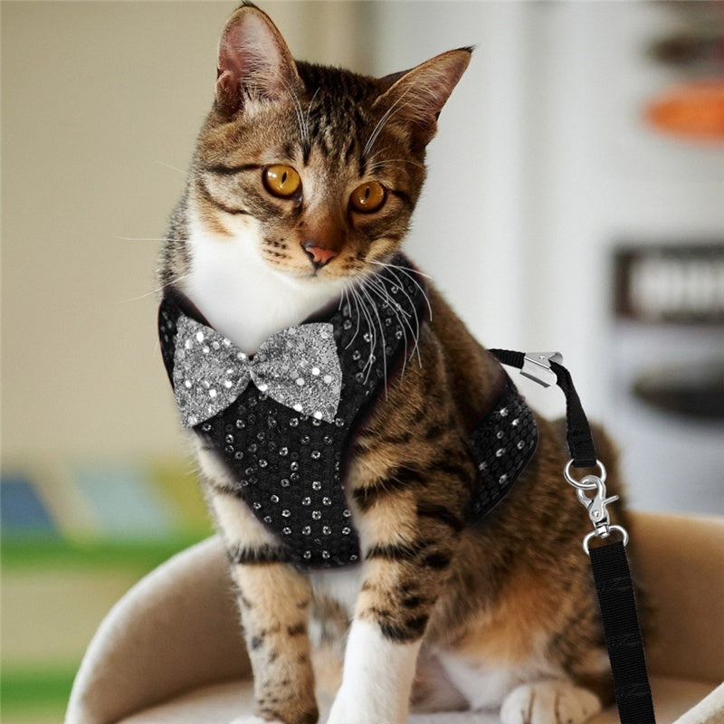 Pet Vest Harness and Leash Set