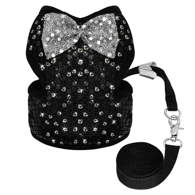 Pet Vest Harness and Leash Set