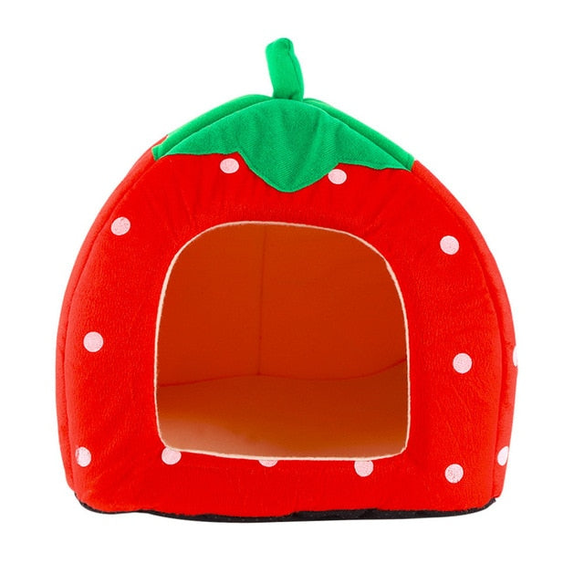 Fruit Pet Bed