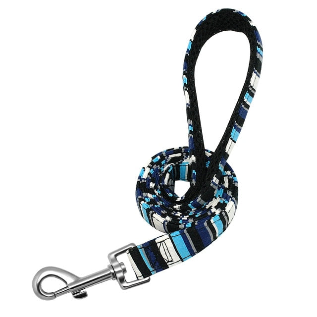 Pet Leash