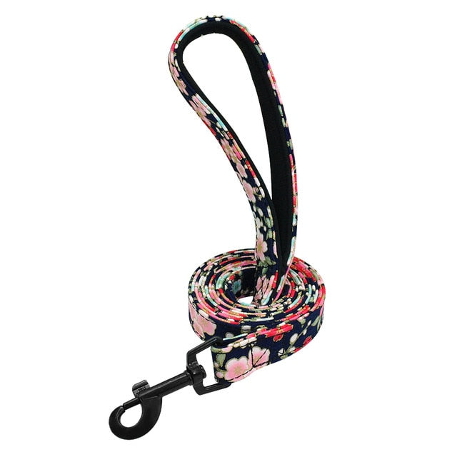 Pet Leash