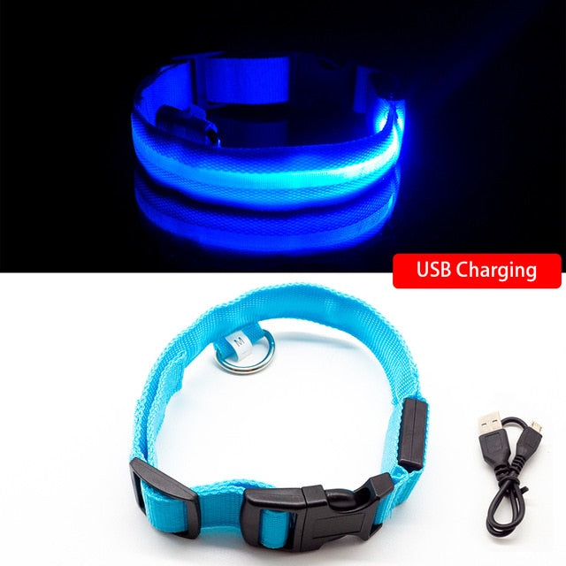USB Charging Led Dog Collar Anti-Lost/Avoid Car Accident For Pet Leads LED