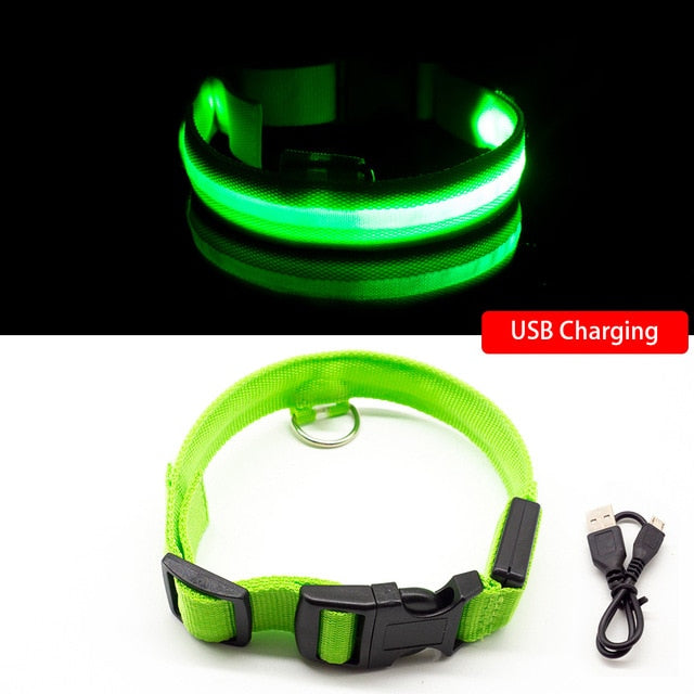 USB Charging Led Dog Collar Anti-Lost/Avoid Car Accident For Pet Leads LED