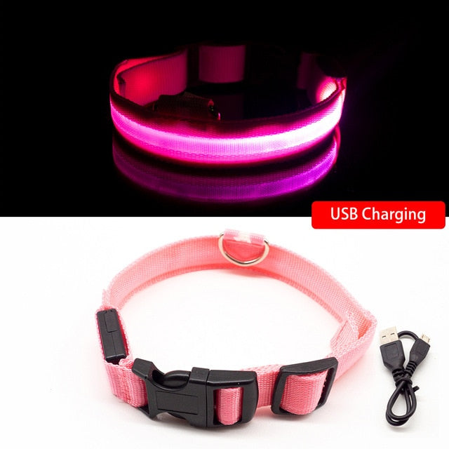USB Charging Led Dog Collar Anti-Lost/Avoid Car Accident For Pet Leads LED