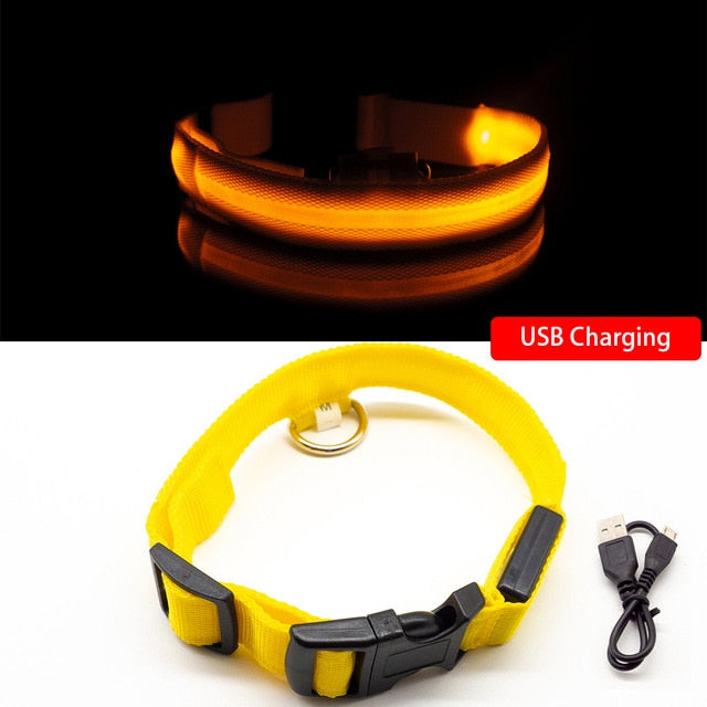 USB Charging Led Dog Collar Anti-Lost/Avoid Car Accident For Pet Leads LED