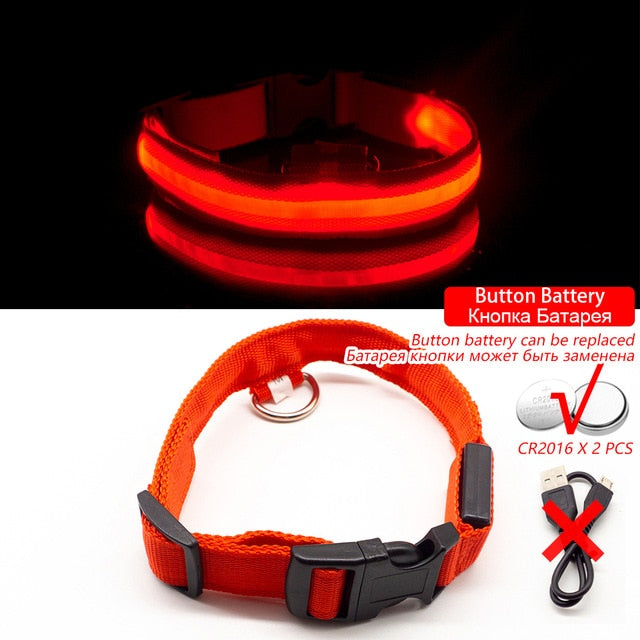 USB Charging Led Dog Collar Anti-Lost/Avoid Car Accident For Pet Leads LED