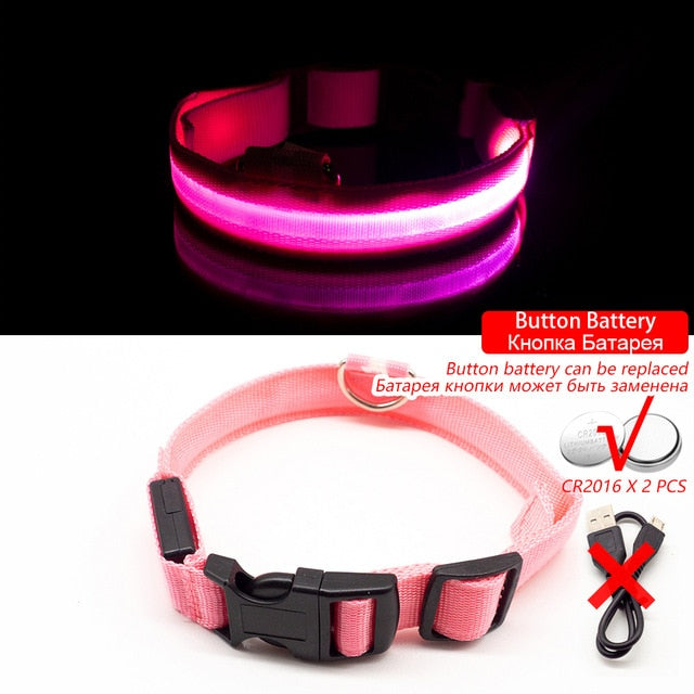 USB Charging Led Dog Collar Anti-Lost/Avoid Car Accident For Pet Leads LED