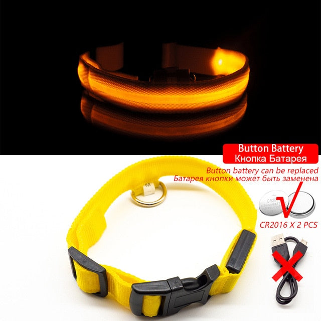 USB Charging Led Dog Collar Anti-Lost/Avoid Car Accident For Pet Leads LED