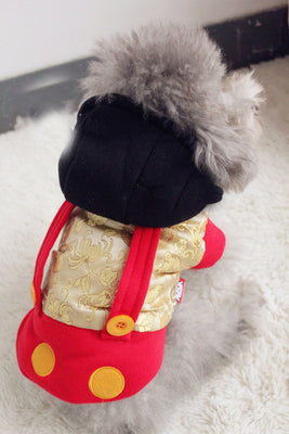 Warm Turtle Pet Jacket