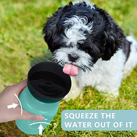 Foldable Cap Outdoor Dog Water Bottle