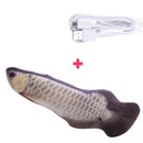 Catnip Electric Pet Toys