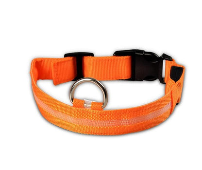 Nylon LED Pet Dog Collar, Night Safety Flashing Glow In The Dark Dog Leash