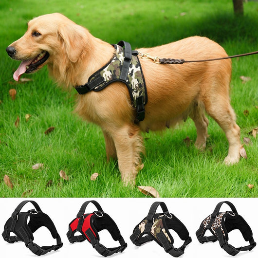 Heavy Duty Dog Pet Harness Collar