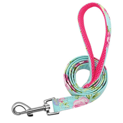 Pet Leash