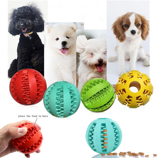 Pet Interactive Chew Toy