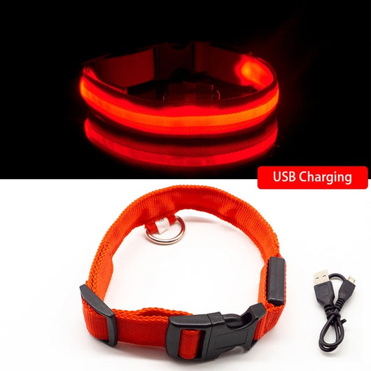 USB Charging Led Dog Collar Anti-Lost/Avoid Car Accident For Pet Leads LED