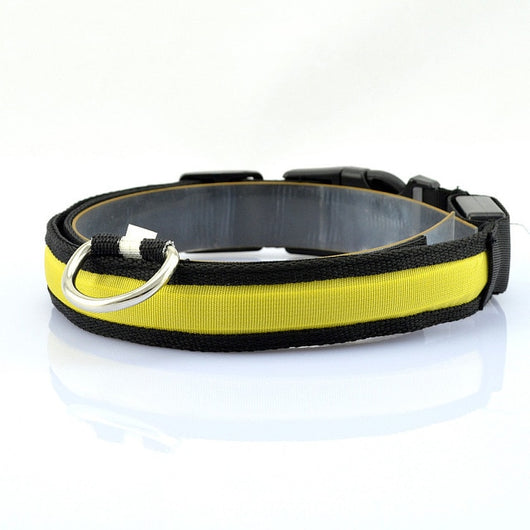 Nylon Dog Collar Flash Night Safety LED Glow Dog Harness Pet Supplies Cat Collars Accessories Dogs Luminous Fluorescen